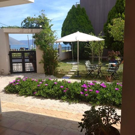 Sea View Studio Kirra Экстерьер фото